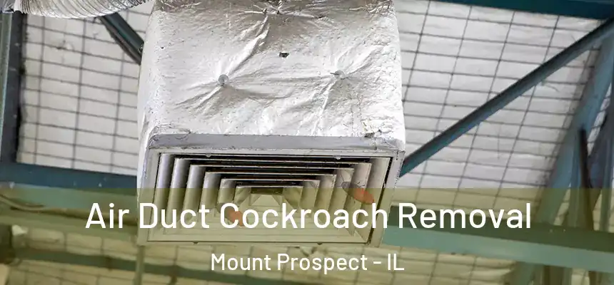  Air Duct Cockroach Removal Mount Prospect - IL