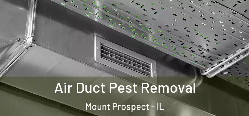  Air Duct Pest Removal Mount Prospect - IL