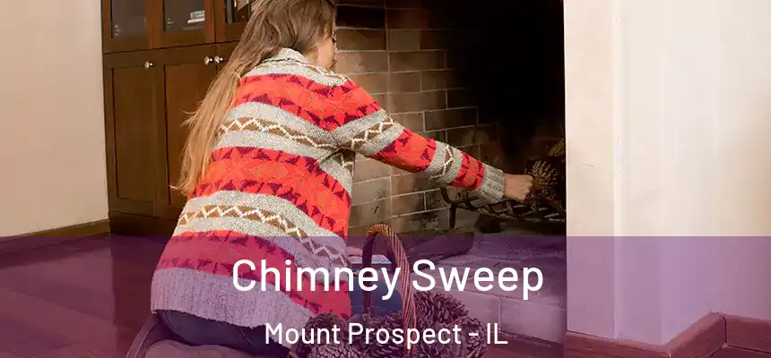  Chimney Sweep Mount Prospect - IL
