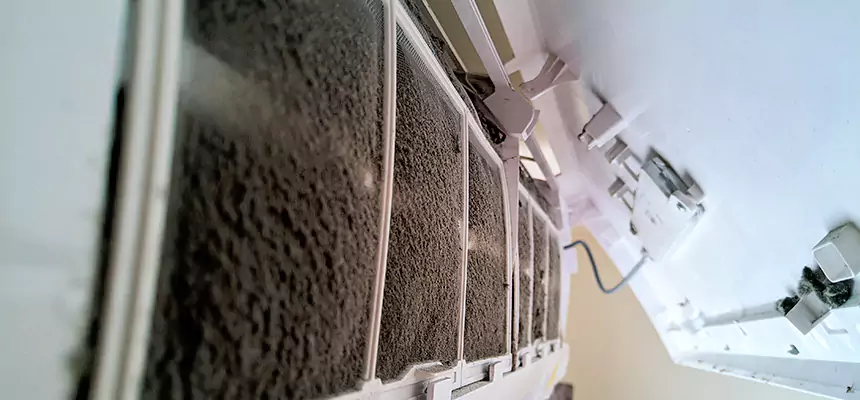 Preventive Air Duct Bacteria Removal in Mount Prospect