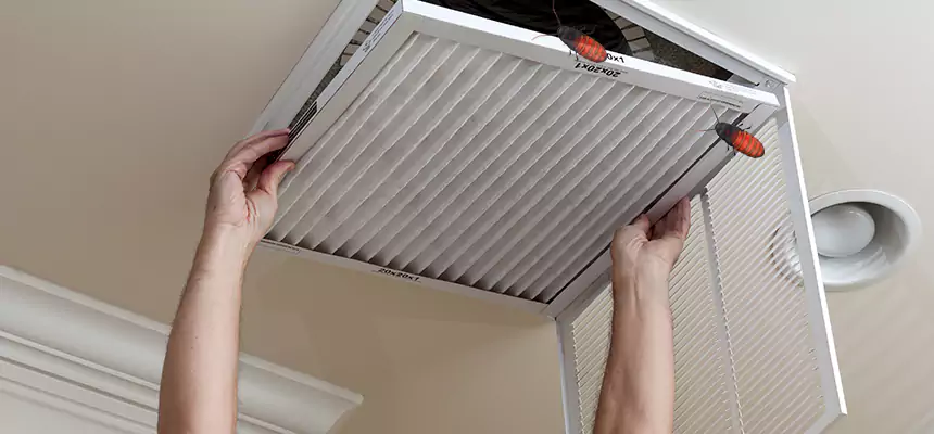 Preventive Cockroach-Proofing for Ducts in Mount Prospect