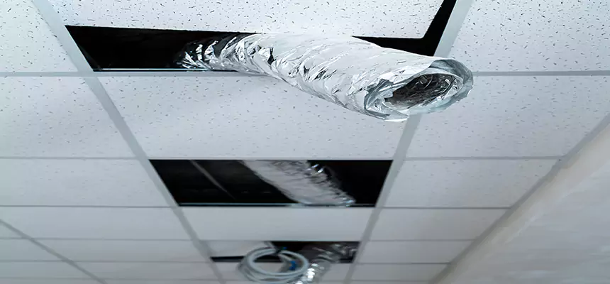 Affordable HVAC Sanitizing After Pest Removal in Mount Prospect