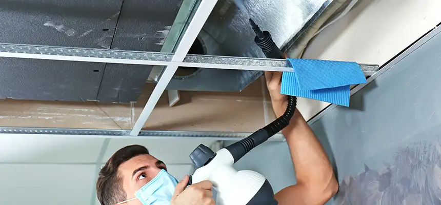 Our Air Duct Rodent Removal Services in Mount Prospect, IL