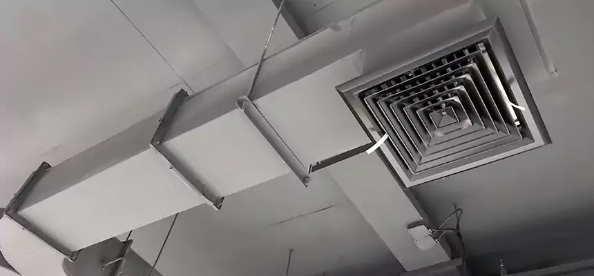 Restorative Allergy Relief Vent Cleaning – Coil, Blower & Housing Detail in Mount Prospect