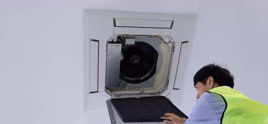 Our Dryer Vent Sanitization Service Services in Mount Prospect, IL