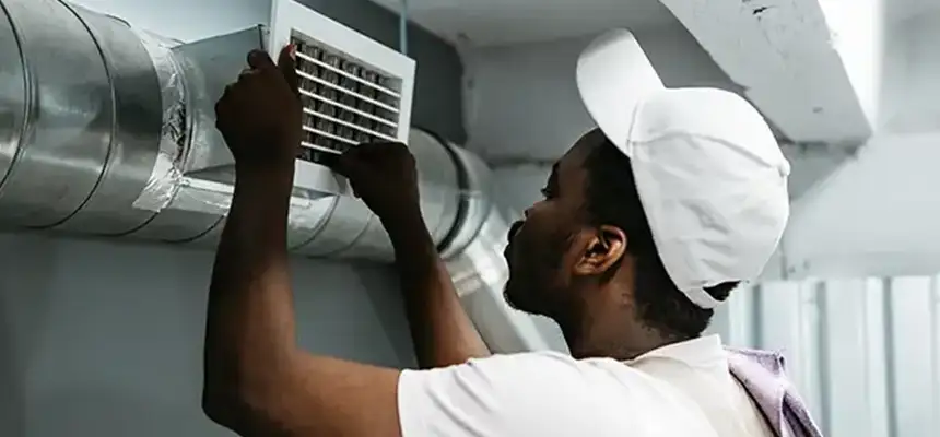 Our Licensed And Insured Cleaners in Mount Prospect, IL