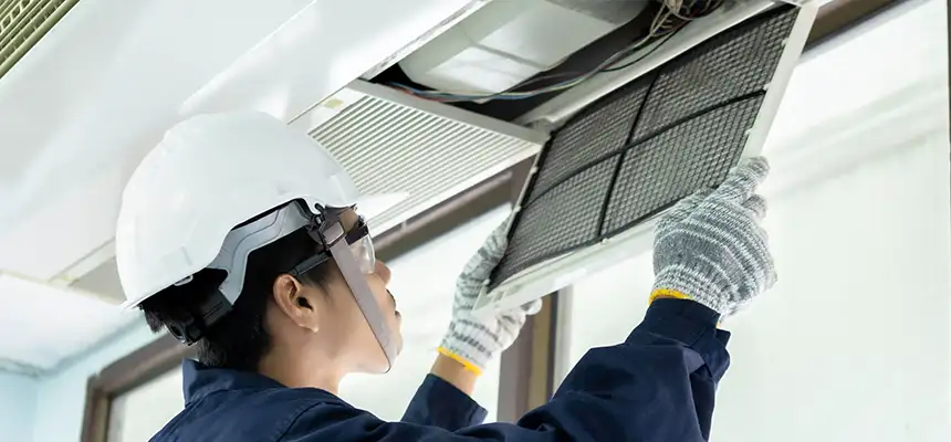 Our Lint Trap Cleaning Service Services in Mount Prospect, IL