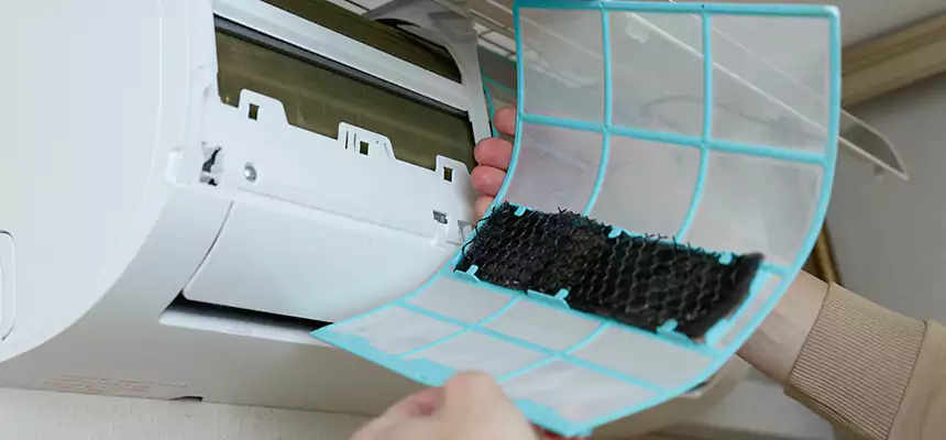 Gentle Ductwork Odor-Control Pet Dander Duct Cleaning in Mount Prospect, IL