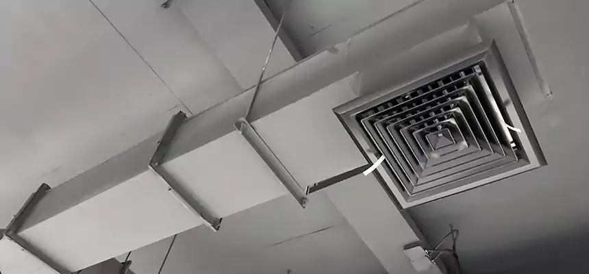 Our Rodent Droppings In Vents Services in Mount Prospect, IL