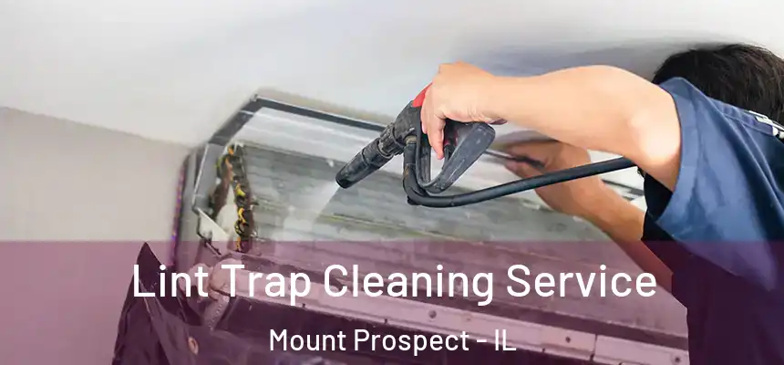  Lint Trap Cleaning Service Mount Prospect - IL
