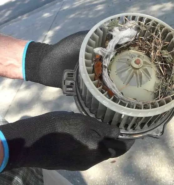 About Air Duct Rat Removal in Mount Prospect, IL