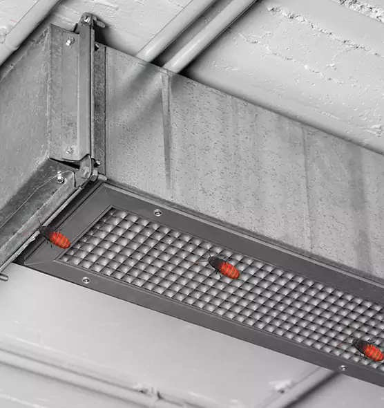 Affordable Insect Removal from Air Ducts in Mount Prospect, IL