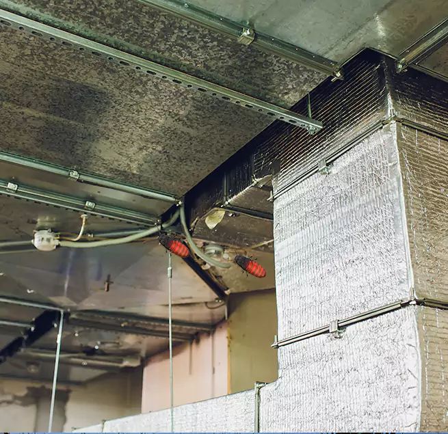 Why Homeowners & Businesses Trust Us in Mount Prospect, IL?