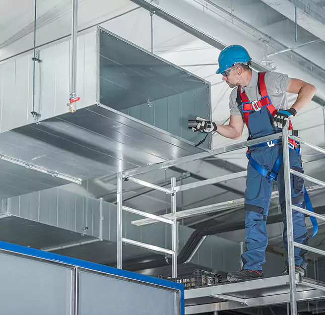 Why Homeowners & Businesses Trust Us in Mount Prospect, IL?