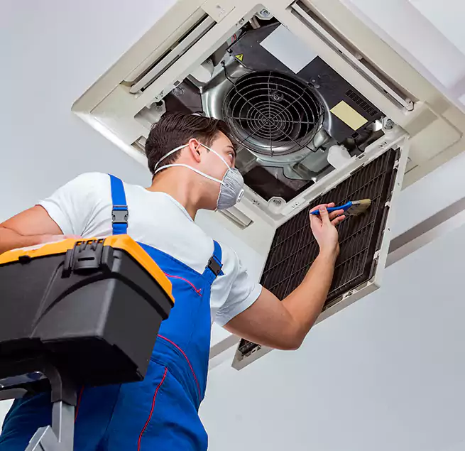 Why Homeowners & Businesses Trust Us in Mount Prospect, IL