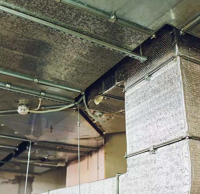 Why Homeowners & Businesses Trust Us in Mount Prospect, IL?