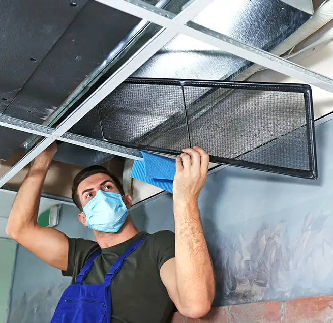 Why Homeowners & Businesses Trust Us in Mount Prospect, IL?