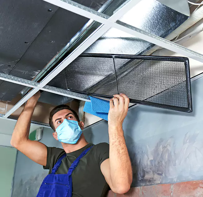 Why Homeowners & Businesses Trust Us in Mount Prospect, IL?