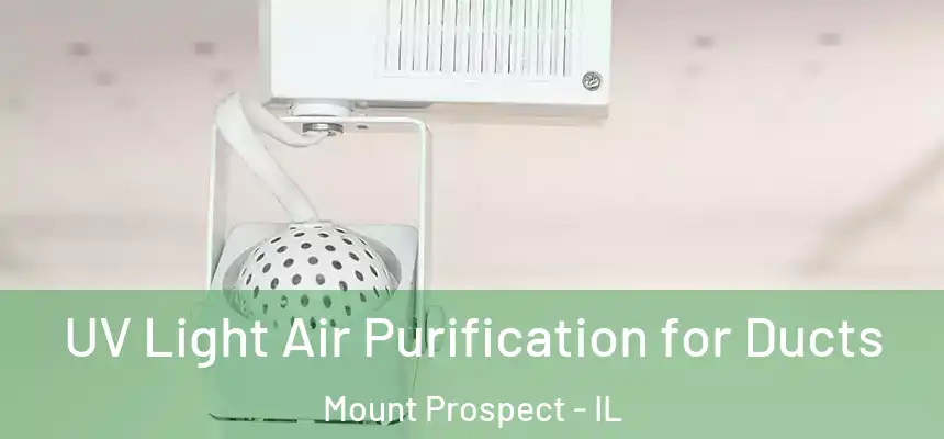  UV Light Air Purification for Ducts Mount Prospect - IL